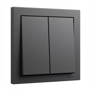 Wippenabdeckung GIRA System 55 2-fach Wippe Anthrazit (Modell 329528)