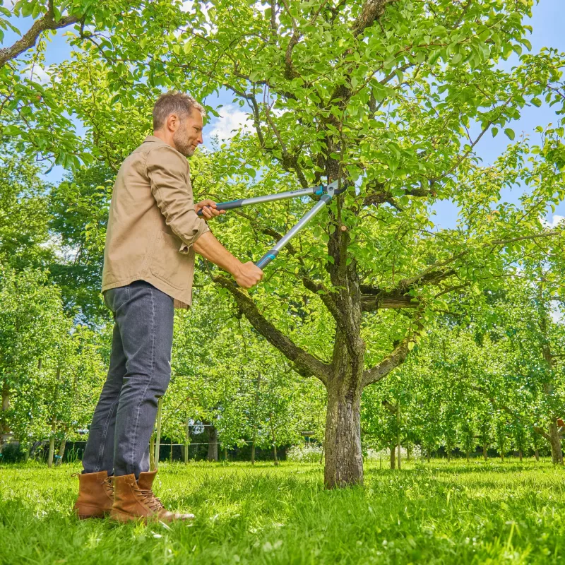 Gardena Astschere EasyCut L Grau/türkis 50cm (12031-88)