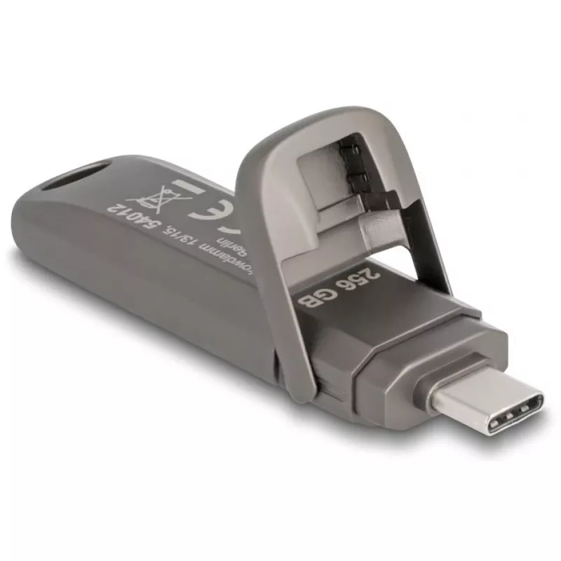 USB-Flash-Laufwerk DeLOCK 54012 256 GB USB Typ-C Grau