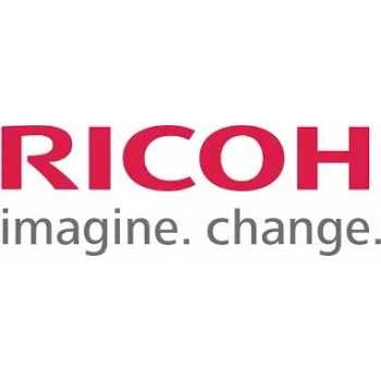 Ricoh PB 1150 – Drucker-Papiereinzugseinheit – 500 Blatt in 1 Schublade (Fach) (408300)