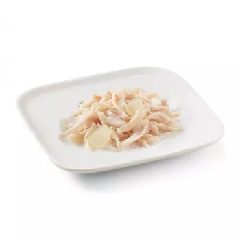 SCHESIR in Gelee Chicken with aloe - Nassfutter für Hunde - 150 g