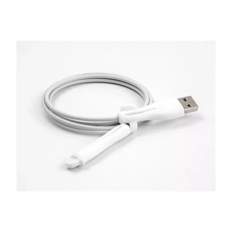 DeLOCK Staubschutzkappe für USB Typ-A-Stecker und Apple Lightning-Stecker, Set 2 Stück weiß