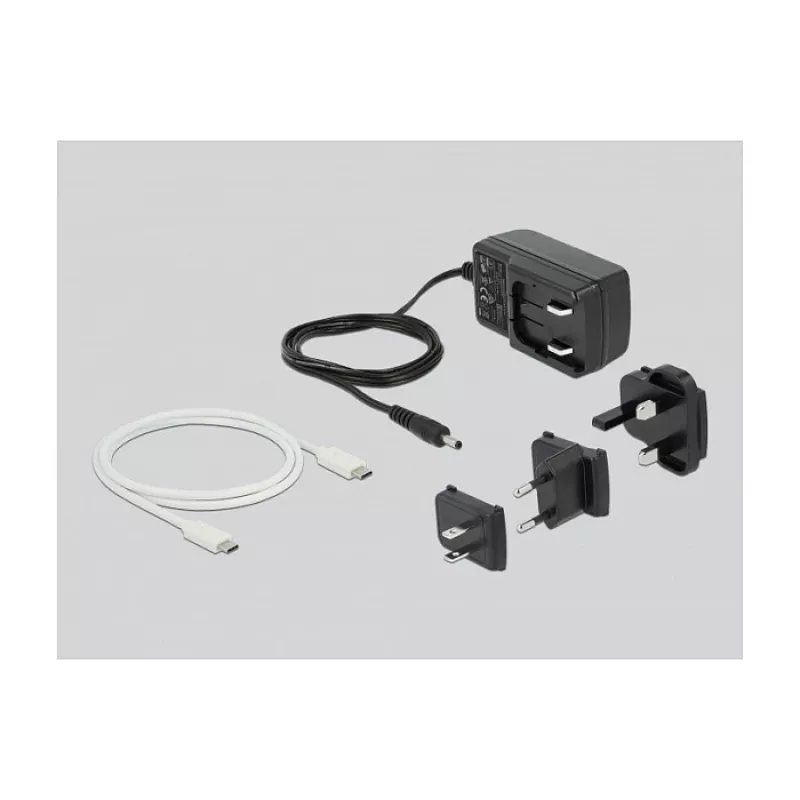 Docking-Station DeLOCK USB Type-C™ 3.2 für 2 x 2,5-Zoll-SATA-Festplatten/SSDs