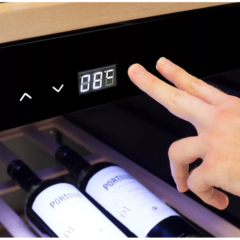 Caso | Smart Wine Cooler | WineExclusive 180 | Energieeffizienzklasse G | Vitrinenkühler | Freistehend | Flaschenkapazität 180 Flaschen | Kühltyp Kompressortechnik | Schwarz