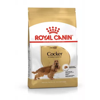 Trockenfutter für Hunde Royal Canin Cocker Adult 12 kg — Geflügel, 25 % Protein, 14 % Fett