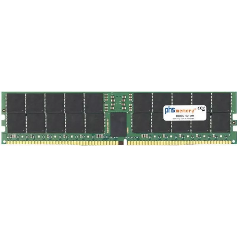 Phs-memory SP516519 Server