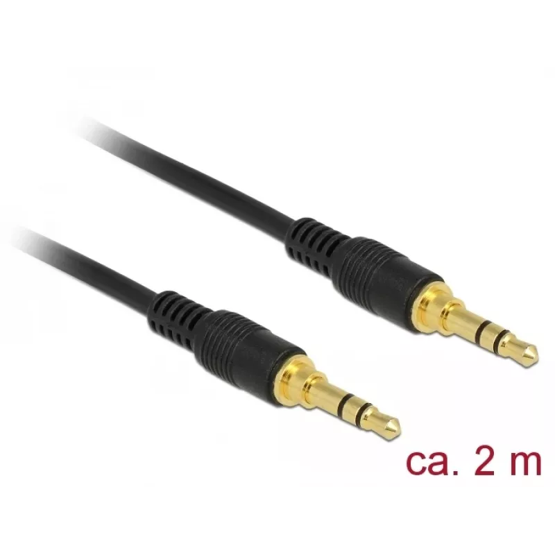 Audiokabel 3,5 mm DeLOCK 85549 2 m Schwarz