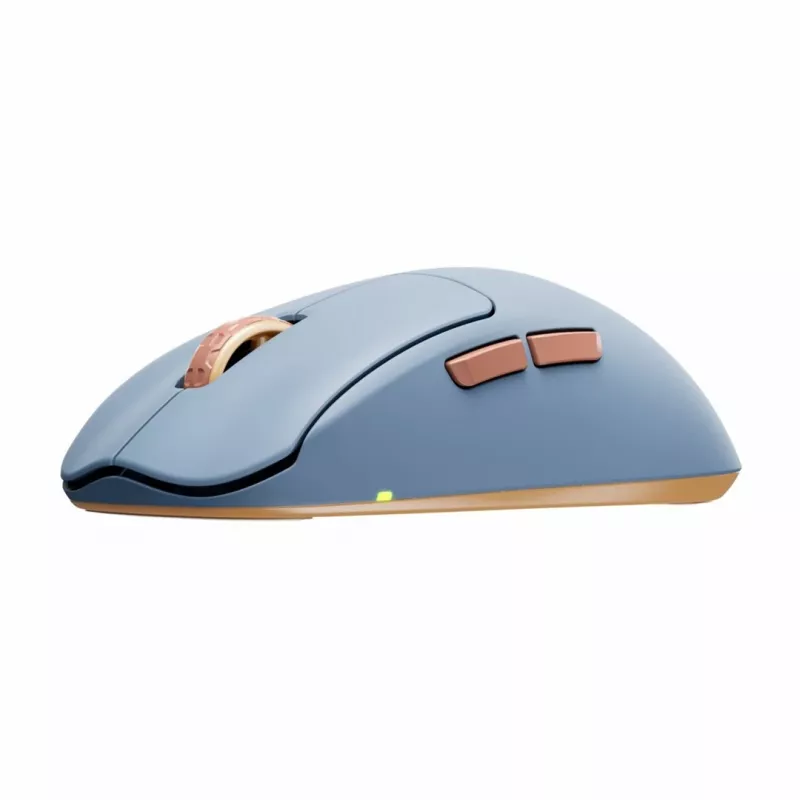 Maus CHERRY XTRFY M68 Wireless RF Wireless