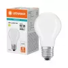 Osram LED Classic A 60 Filament P 5,9 W 840 matt E27 LED-Lampen, klassische Kolbenform
