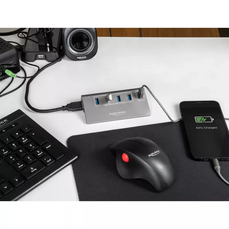 DeLOCK USB-Hub 10 Gbit/s 4 Typ-A-Anschlüsse 1 Schnellladeanschluss
