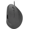 Maus SPEEDLINK PIAVO Office USB Typ-A Optisch 2400 DPI