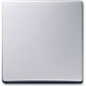 BUSCH-JAEGER Wippschalter Wechsel 2106-33 AW44 alusilber 2106-33 (2106-33)