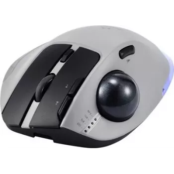 Renkforce RF-6697034 Grau