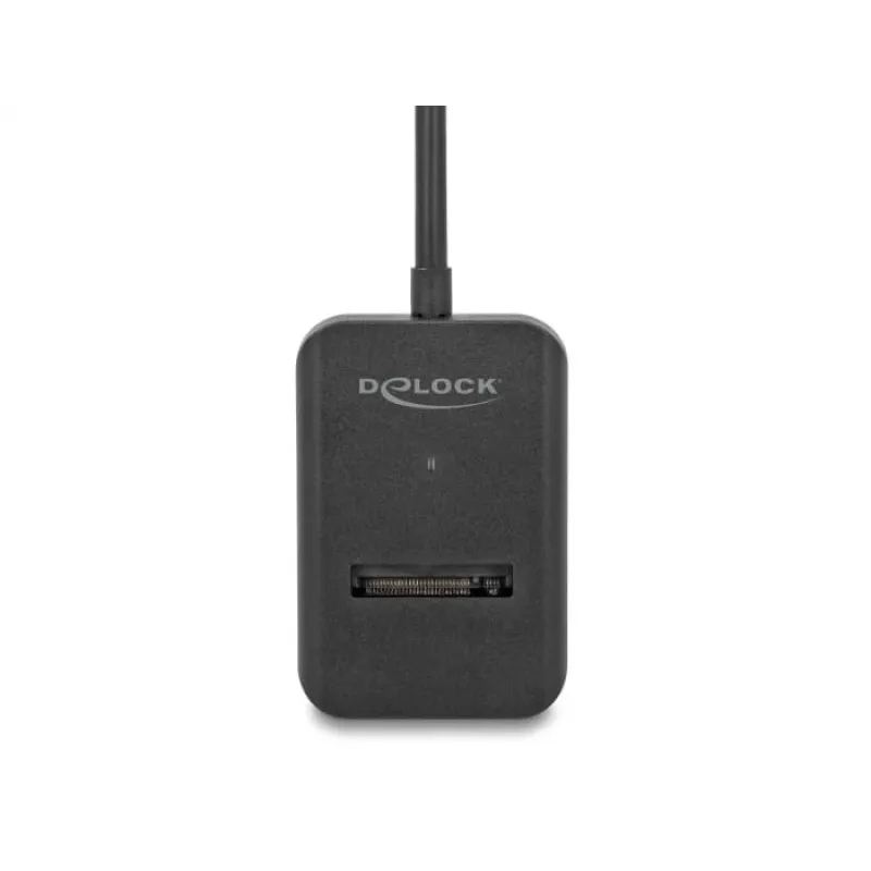 DeLOCK Combo-Konverter für M.2 NVMe PCIe SATA SSD USB Type-C 10 Gbit/s