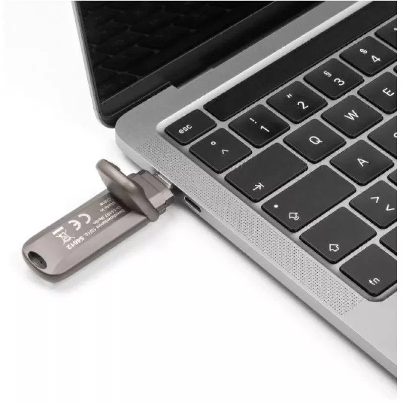 USB-Flash-Laufwerk DeLOCK 54012 256 GB USB Typ-C Grau