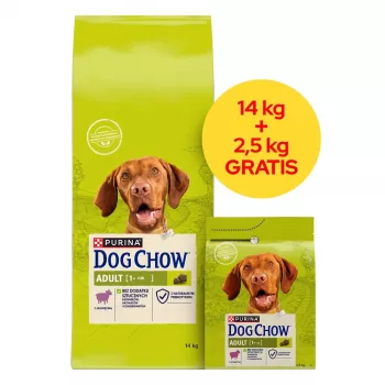 PURINA Dog Chow Adult Lamb - Trockenfutter für Hunde - 14 + 2,5 kg