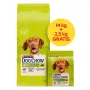 PURINA Dog Chow Adult Lamb - Trockenfutter für Hunde - 14 + 2,5 kg