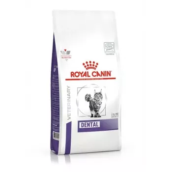 Trockenfutter für Katzen Royal Canin Dental 1,5 kg — ausgewachsen, Geflügelgeschmack, 29 % Protein, Zahnpflege