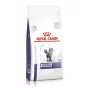 Trockenfutter für Katzen Royal Canin Dental 1,5 kg — ausgewachsen, Geflügelgeschmack, 29 % Protein, Zahnpflege