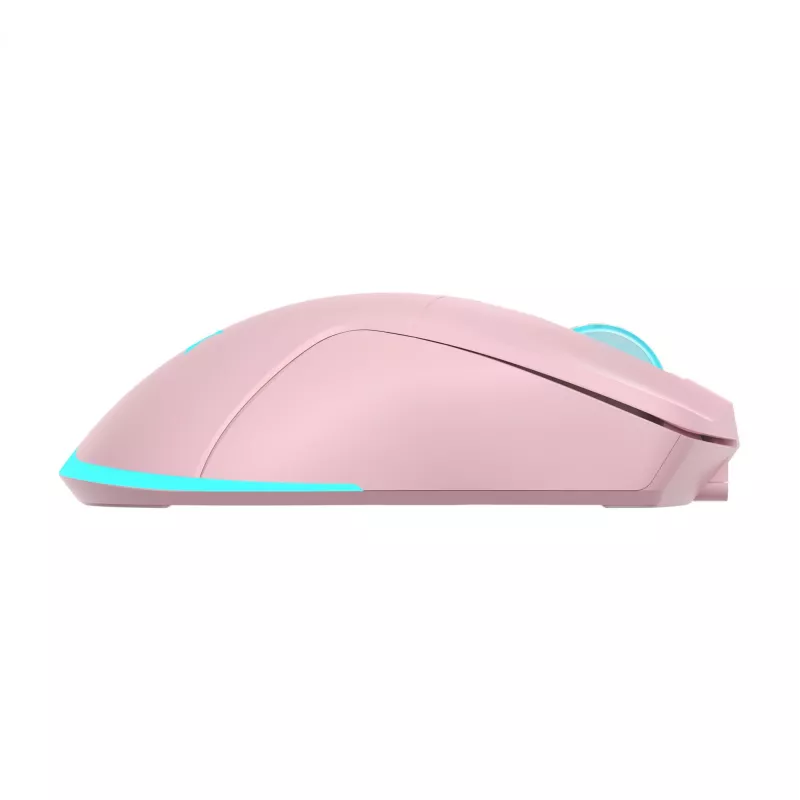 Maus Baracuda BGM-124 Turtle Pink TURTLE-P