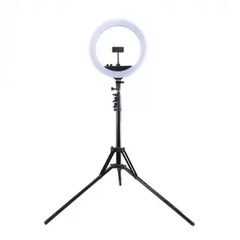 LED-Ringleuchte 34,5 cm mit Stativ bis 1,85 m, Spiegel und Handyhalter, USB