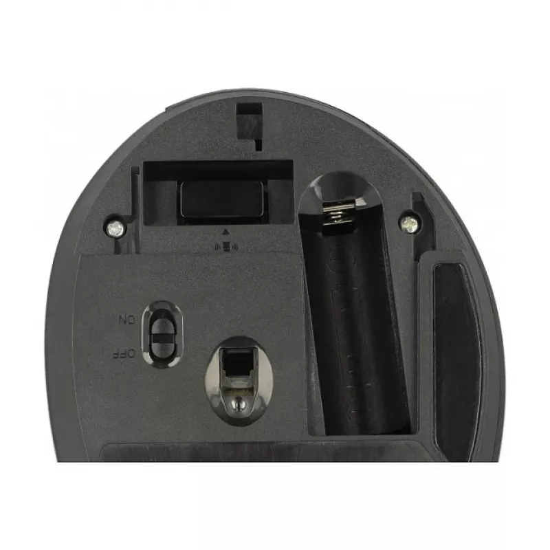 Maus DeLOCK 12599 RF kabellos Rechtshänder 1600 DPI