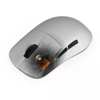 Mechanischer Tastaturschalter-Set Endgame Gear OP1 2er - TTC Dustproof Gold 80m, 55–65 gf