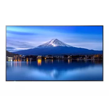 Großformat-Display SHARP NEC P506 50 Zoll P-Serie UHD