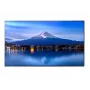 Großformat-Display SHARP NEC P506 50 Zoll P-Serie UHD