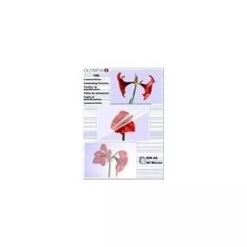 Laminierfolien Olympia 1x100 DIN A6 80 Mikron