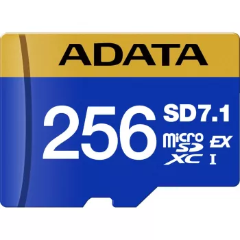 ADATA UD256GEX3L1-C Speicherkarte 256 GB MicroSDXC UHS-II