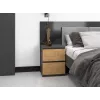 Topeshop W2 ANTRACYT/ARTISAN nightstand/Nachttisch 2 Schublade(s) Anthrazit, Eiche