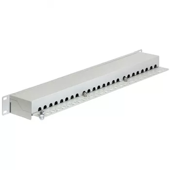 Patchpanel DeLOCK 43300 1U RJ-45 Grau