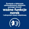 HILL'S PD K/D Kidney + Mobility Huhn - Trockenfutter für Katzen - 3 kg