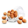 Esperanza EKE001 Eierkocher 7 Eier 350 W Weiß