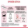 Nassfutter für Kätzchen Royal Canin Kitten Jelly 85 g — Hühnchengeschmack, 85-g-Beutel, 12 Stück