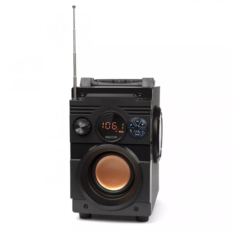 Squeak Bassblaster Bluetooth 5.1 Lautsprecher, FM-Radio, MP3-Player SQ1001
