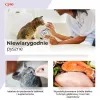 INABA Juicy Bites Garnelen und Meeresfrüchte – Katzenleckerlis – 3x11,3 g