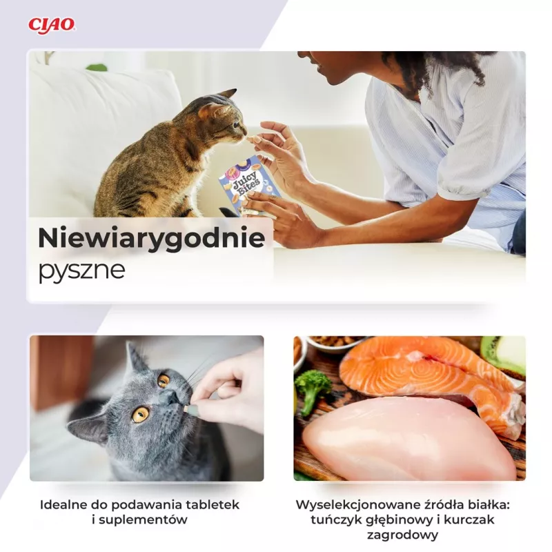 INABA Juicy Bites Garnelen und Meeresfrüchte – Katzenleckerlis – 3x11,3 g