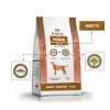 PUPIL Premium Insekten - Trockenhundefutter - 12kg