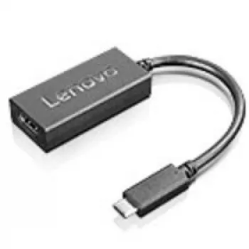 Lenovo 4X90M44010 USB-Grafikadapter Schwarz