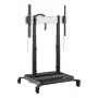 Vogels 7352080 Display Schwarz