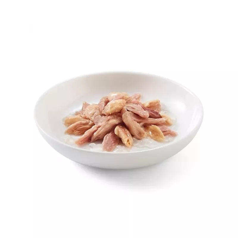 SCHESIR in Gelee Thunfisch mit Lachs - Nassfutter für Katzen - 50 g