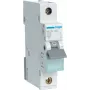 Hager MCN125. Polzahl: 1P. AC-Eingangsfrequenz: 50/60 Hz, Nennausgangsstrom: 25 A. Breite: 17,5 mm, Tiefe: 70 mm, Höhe: 83 mm (MCN125)