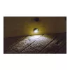 Synergy 21 S21-LED-L00024 Innen-/Außenbereich geeignet für den Innenbereich Einbaustrahler 0,6 W Schwarz - Silber Lichtspot