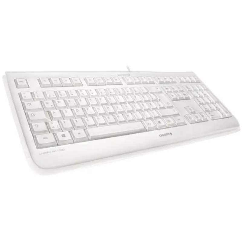 CHERRY KC 1068 Tastatur USB Schweizer Layout Grau