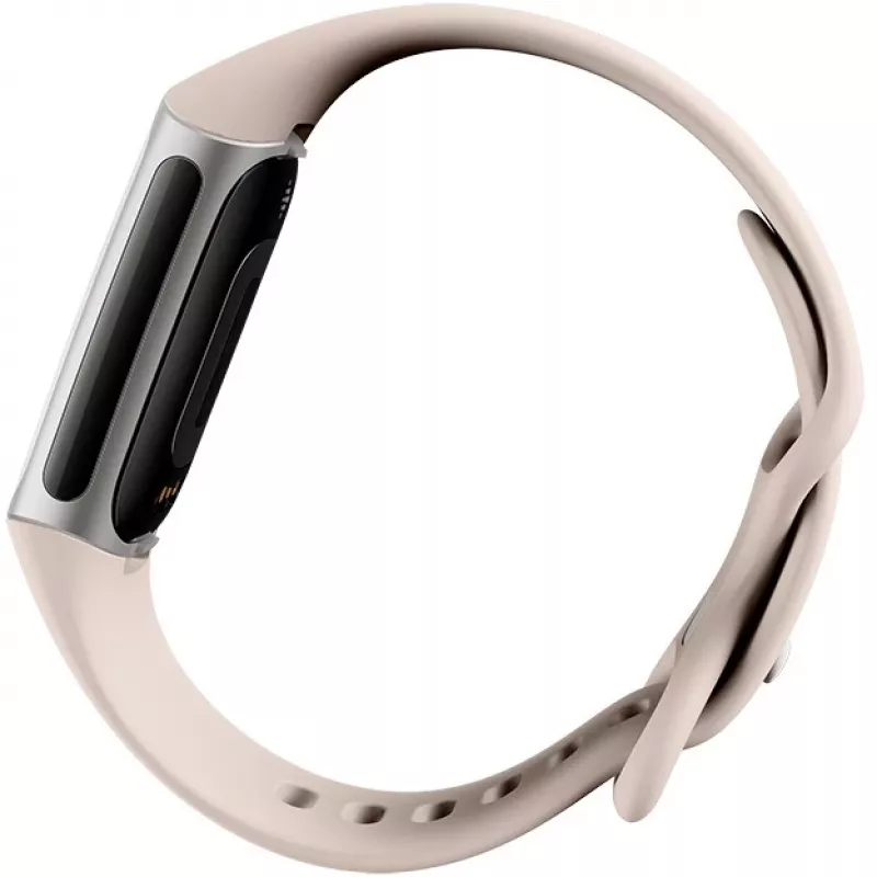 Fitbit GA05185-EU Produkt Silber