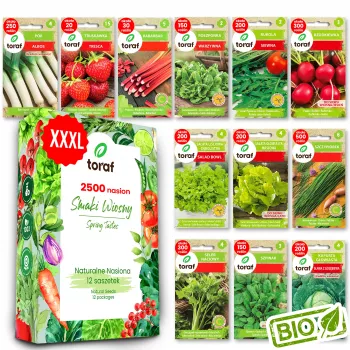 TORAF Spring Flavors Saatgut-Set - 12 Päckchen