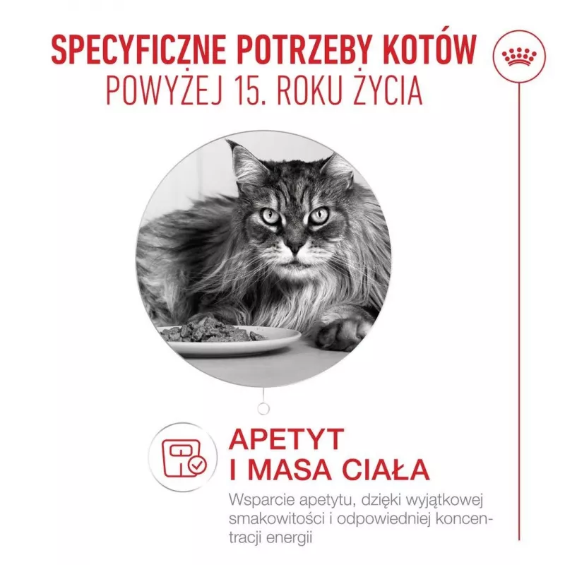 ROYAL CANIN Ageing 15+ Trockenfutter für Katzen – 4 kg
