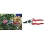 Bypass-Gartenschere C.K Tools G5631 215 mm – 215 mm Schnittlänge, Bypass-Klingen